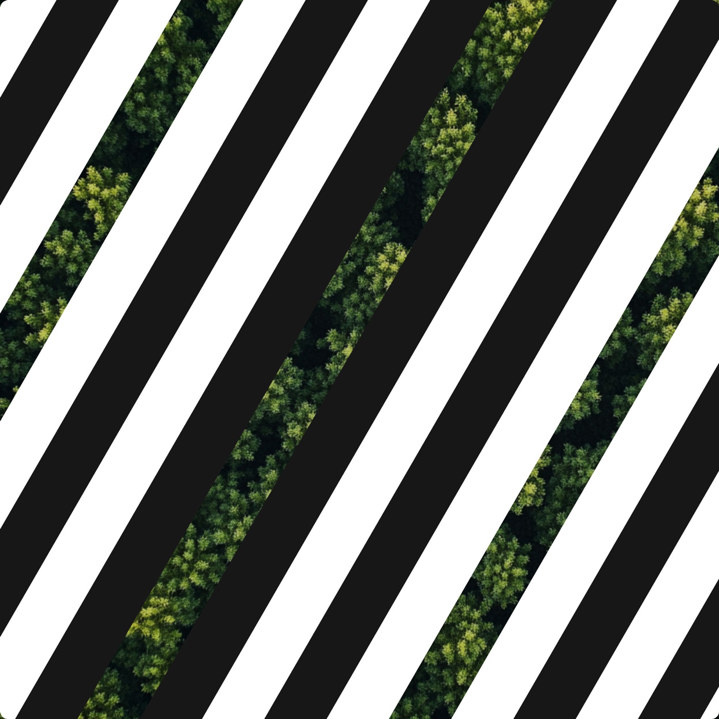Half Concrete Mind sleeve — an aerial forest canopy overlaid with text.